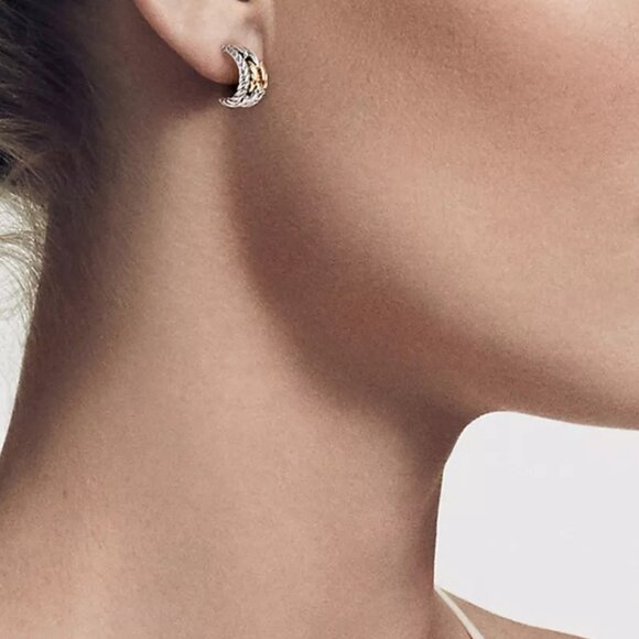 Retired David Wellesley Hoop Earrings - Omega Backs - 18K/925 - Picture 6 of 11